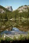 RMNP-Nymph_Lake-Hallets_Peak.jpg (37826 bytes)